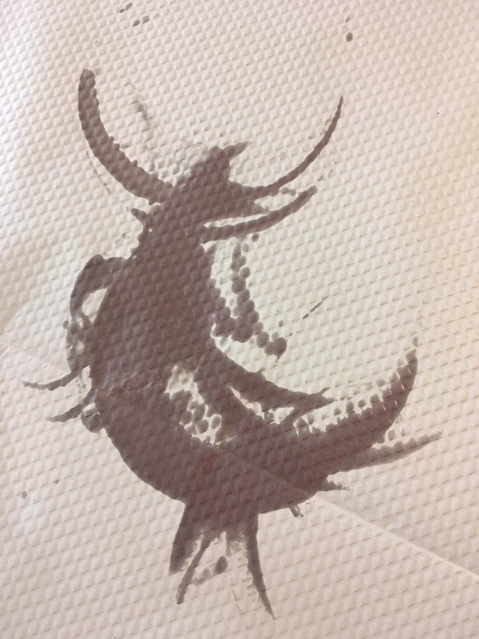 Forme naturelle dessinée par les traces du repas sur le papier de table