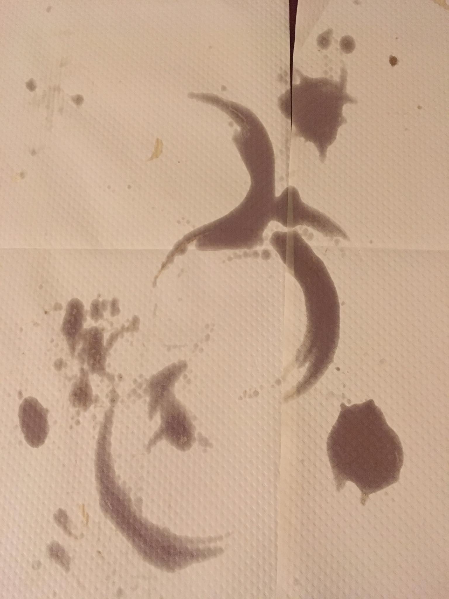 Forme naturelle laissée par les traces des plats sur le papier de table